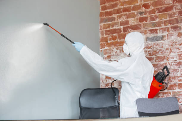 Best Mold Odor Removal Services  in Friendswood, TX